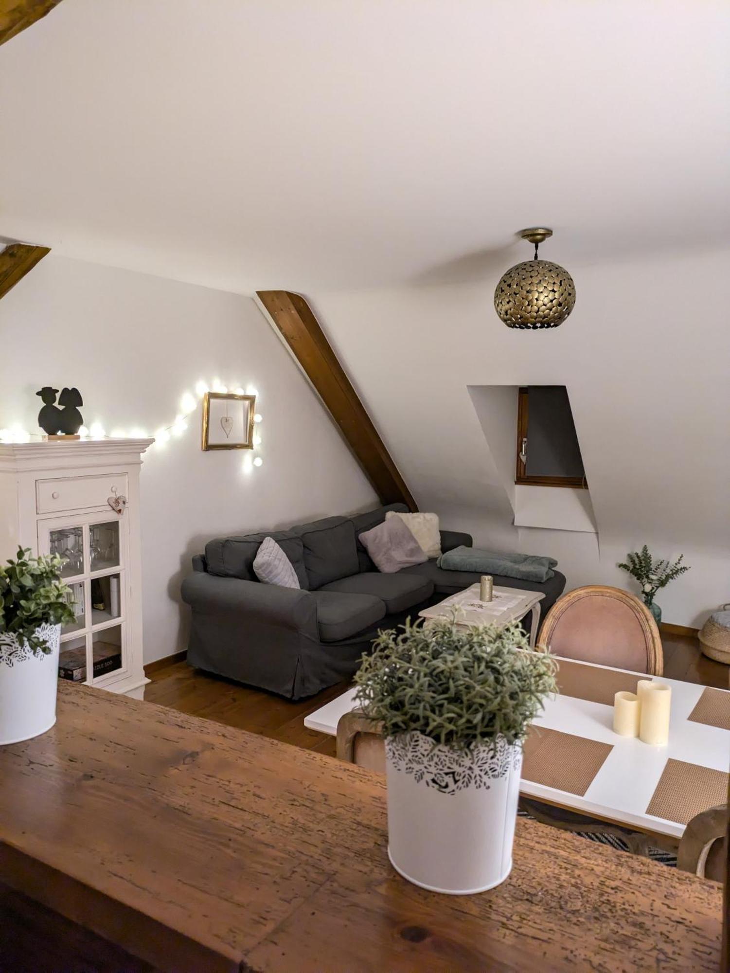 Ferienwohnung Les Toits de Turckheim Exterior foto